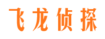 安源市侦探公司